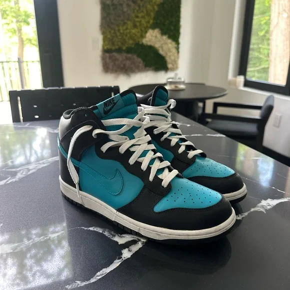 Nike zoom dunks - Picture 1 of 3